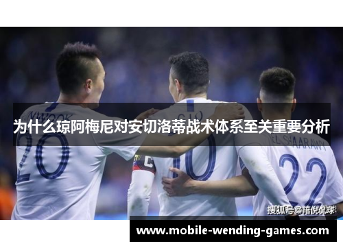 为什么琼阿梅尼对安切洛蒂战术体系至关重要分析