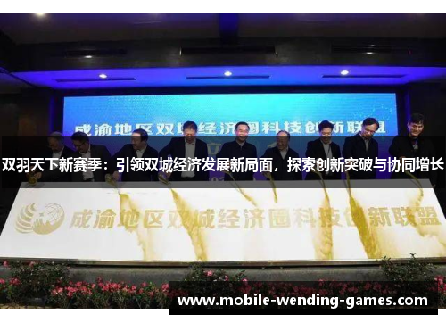 双羽天下新赛季：引领双城经济发展新局面，探索创新突破与协同增长