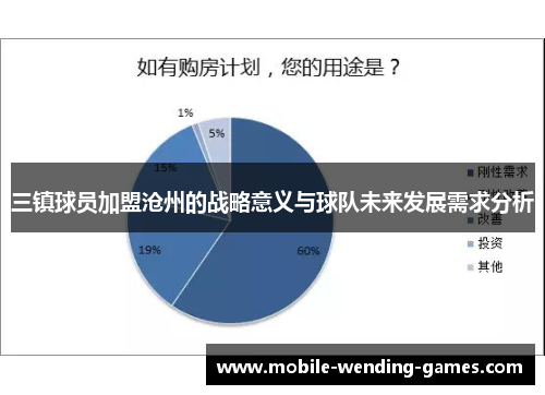 三镇球员加盟沧州的战略意义与球队未来发展需求分析