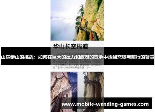 山东泰山的挑战：如何在巨大的压力和激烈的竞争中找到突破与前行的智慧