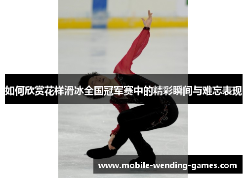 如何欣赏花样滑冰全国冠军赛中的精彩瞬间与难忘表现