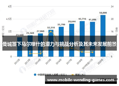 曼城签下马尔穆什的潜力与挑战分析及其未来发展前景