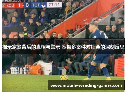 揭示家暴背后的真相与警示 塞梅多案件对社会的深刻反思
