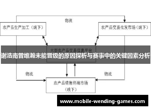 谢浩南曾维瀚未能晋级的原因探析与赛事中的关键因素分析