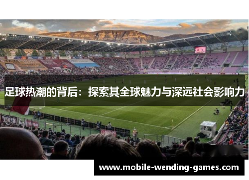 足球热潮的背后：探索其全球魅力与深远社会影响力