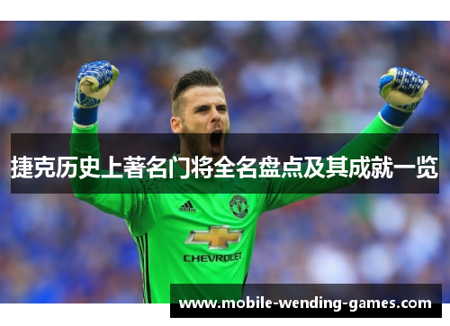 捷克历史上著名门将全名盘点及其成就一览