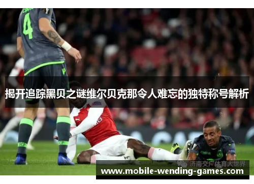 揭开追踪黑贝之谜维尔贝克那令人难忘的独特称号解析 揭开追踪黑贝之谜维尔贝克那令人难忘的独特称号解析