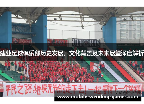 建业足球俱乐部历史发展、文化背景及未来展望深度解析