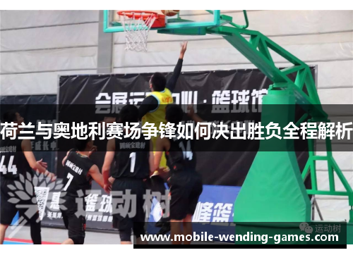 荷兰与奥地利赛场争锋如何决出胜负全程解析