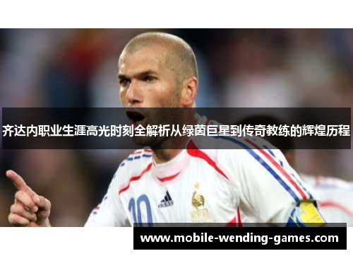 齐达内职业生涯高光时刻全解析从绿茵巨星到传奇教练的辉煌历程 齐达内职业生涯高光时刻全解析从绿茵巨星到传奇教练的辉煌历程