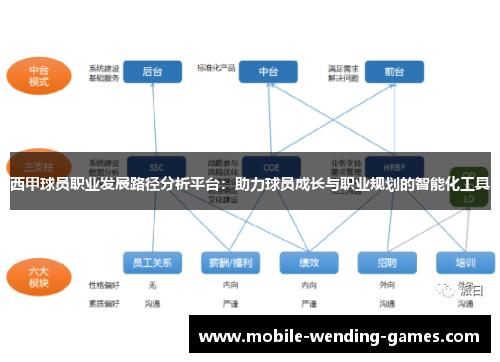 西甲球员职业发展路径分析平台：助力球员成长与职业规划的智能化工具