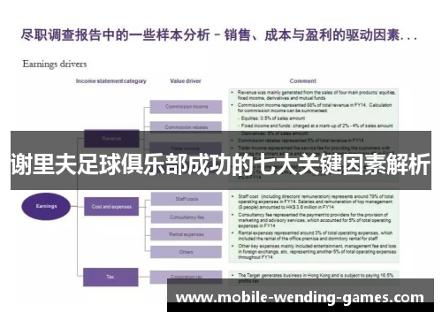 谢里夫足球俱乐部成功的七大关键因素解析