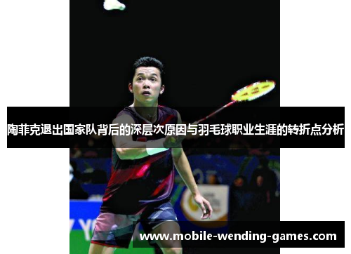 陶菲克退出国家队背后的深层次原因与羽毛球职业生涯的转折点分析