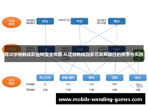 青训学院教练职业转型全攻略 从足球教练到多元发展路径的探索与实践
